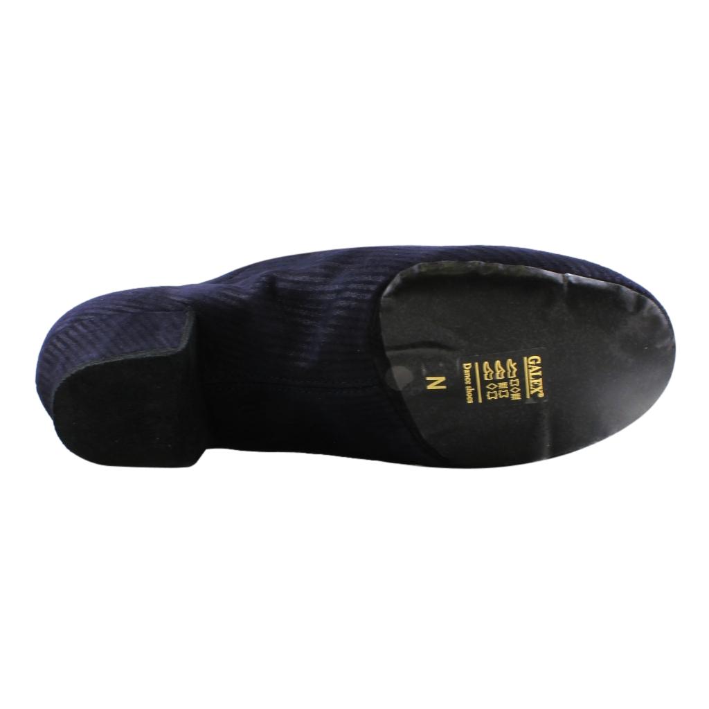 Practice Dance Shoes, 1205 Flexi, Leather Dark Blue Strips